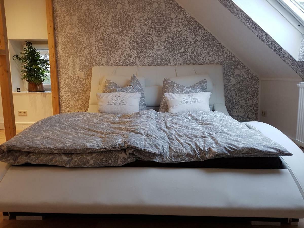 Zucht- Und Ausbildungsstall Rubly Kleinbundenbach Exterior foto